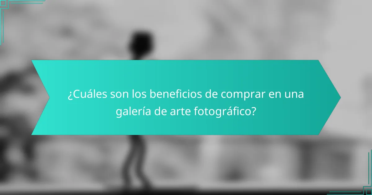 ¿Cuáles son los beneficios de comprar en una galería de arte fotográfico?