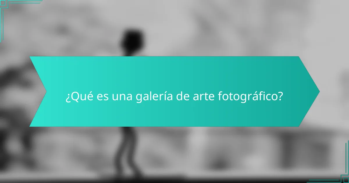 ¿Qué es una galería de arte fotográfico?